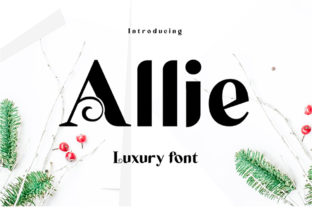 Allie Typeface: A Modern Display Font for Editorial Calm