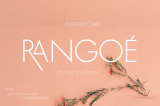 Rangoe: A Designer's Honest Review for Real Projects