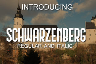 Schwarzenberg: A Display Font That Sharpens Campaign Messaging